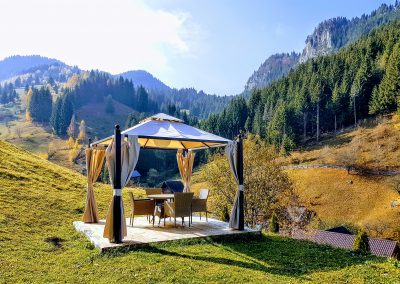 Carpatica Lodge - Moieciu de Sus